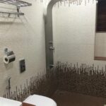 WhatsApp Image 2026-04-24 at 7.23.31 PM